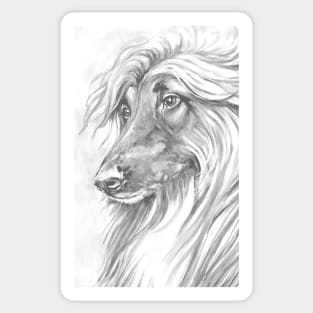 Afghan Hound Head in greyscale. Sticker